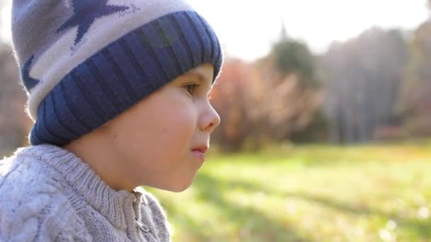 Un niño en el parque de otoño en un picnic. Se come una jugosa manzana roja. Cara de cerca — Vídeos de Stock