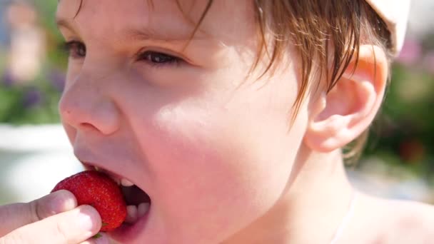 Childs comer morango no jardim, close-up — Vídeo de Stock