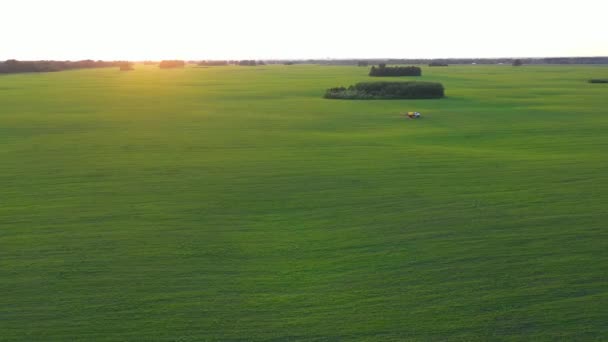 The drone is flying over the field. The vehicle sprays in the field.View from above.FHD — Stock Video