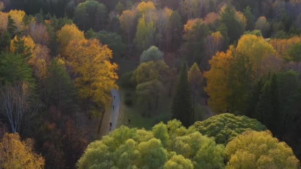 People walk in the Park on a warm autumn day. The wind stirs the trees. Shooting from a height above the Park — Stock Video