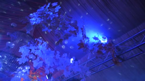 Party Hochzeitsbeleuchtung Und Blumenschmuck — Stockvideo