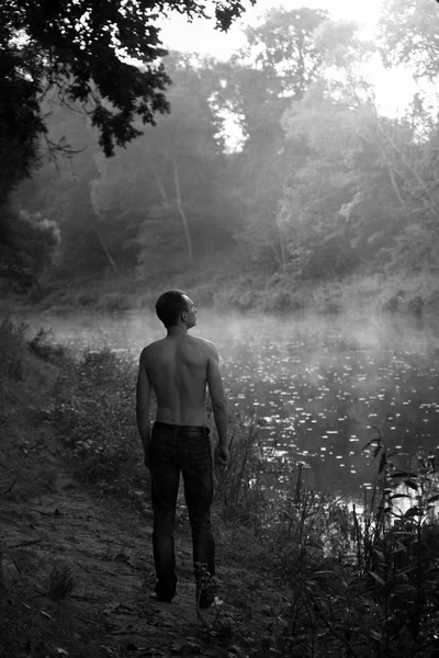 adam, çıplak gövde, nehir, şafak, vücut, kas, erkekçe, su, ağaçlar, doğa