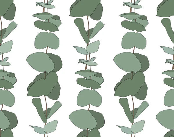유칼립투스 베이비 블루, 단풍 자연 녹색 잎 씨앗 열 대 완벽 한 패턴으로 분기. — 스톡 벡터