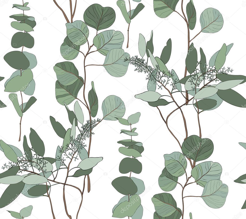 Eucalyptus seeded, silver dollar, baby blue tree leaves art designer, foliage, elements of natural branches in rustic style seamless pattern. Vector nature decorative various elegant illustration for design.