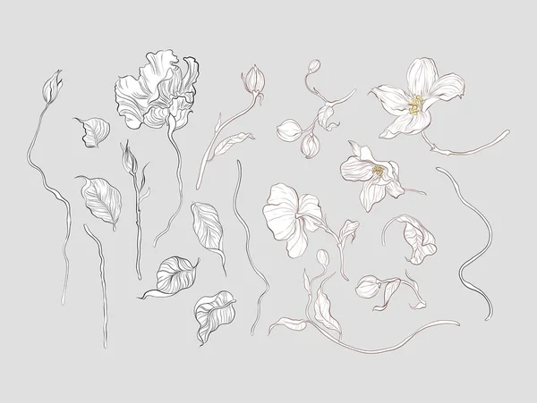 Vektör çiçek buketi tasarımı. Düğün vektörü davet kartı.