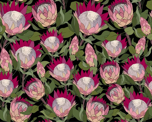 Vektornahtloses Muster mit Protea. Blumenmotiv für Verpackung, Tapete, Stoff, Textil — Stockvektor