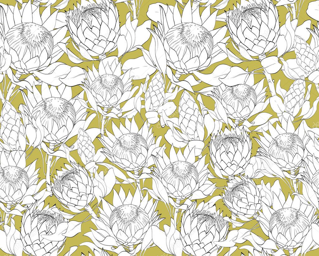 Vector pattern set of proteas. Can be used for some print or background, textile, postcards. Green background