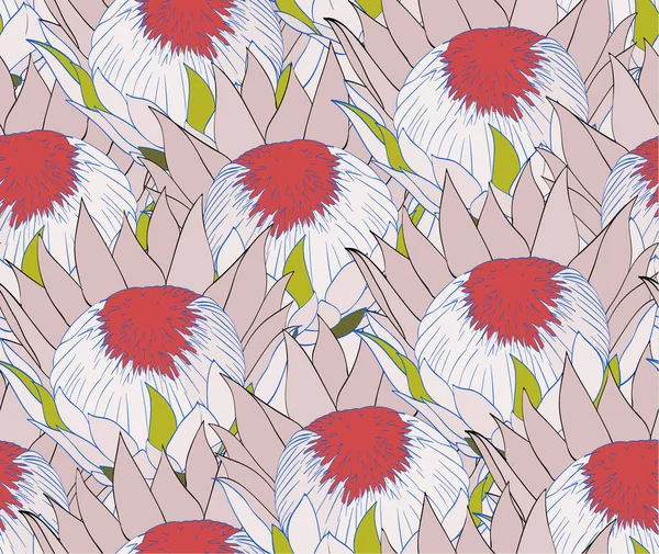 Modèle sans couture avec protea. Motif floral pour emballage, papier peint, tissu, textile — Image vectorielle