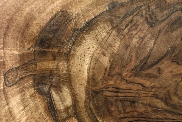 茶色のトーンのウォルナットの木目テクスチャ — ストック写真