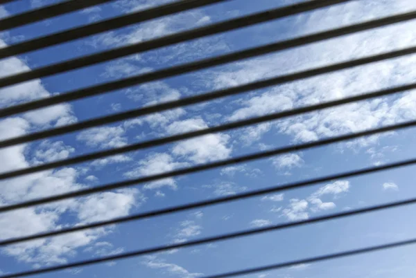 Kepenk mavi gökyüzüne bakış