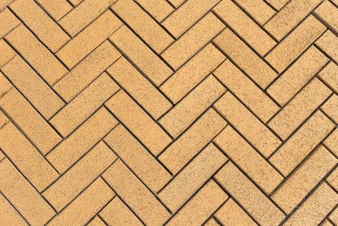 Kahverengi ringa kemiği tuğla yakın