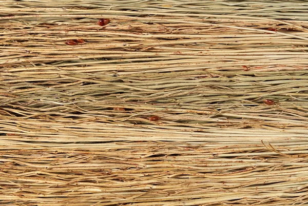 Метла Стебли Текстуры Фон Текстуры — стоковое фото