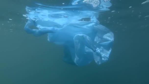 Discarded Transparent Plastic Bag Slowly Drifting Surface Blue Water Sun — Stock Video © #459651540 Discarded Transparent Plastic Bag Slowly Drifting Surface Blue Water Sun — Stock Video © #459651540