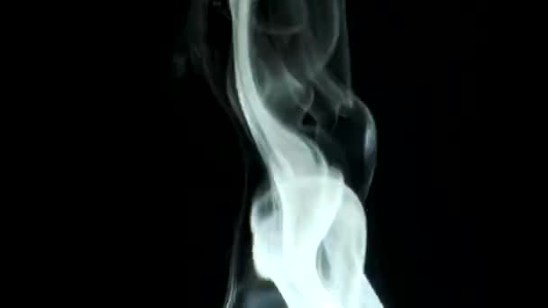 Animation White Smoke Black Background — Stock Video © re_sanmuang@ #329747570 Animation White Smoke Black Background — Stock Video © re_sanmuang@ #329747570