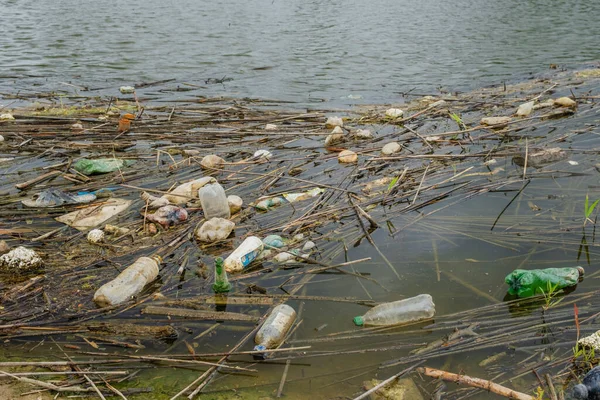 Plastic bottles and other plastic debris float in the Danube River coastal area in Danube Biosphere Reserve. Plastic and other garbage from all over Europe is washed out by the Danube river into the Black Sea.