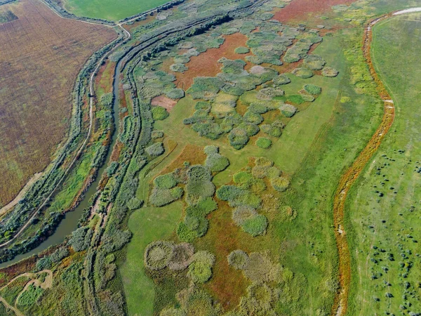 Aerial view on flood-meadow in  Eco park Kartal. Kartal Eco Park, Orlovka village, Reni raion, Odessa oblast, Ukraine, Eastern Europe