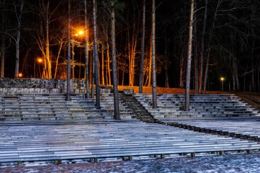 Tatillerde ağaçlara soyut ışık radyasyonu. Yumuşak seçici odaklanma. Resim için yapay olarak tahıl yaratıldı. Karanlıkta ışık efektleri.