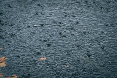 Yağmur damlalarının düştüğü, yüzeyde dairesel dalgalanmalar ve küçük kabarcıklar oluşturan karanlık suyun yakın çekim görüntüsü. Görüntü yağmurun hareketini ve dokusunu yakalar, yağmur ve su arasındaki etkileşimi vurgular..