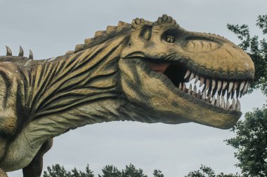 Keskin dişleri ve desenli derisi olan çok detaylı bir T-rex modeli bulutlu bir gökyüzü ve ağaç zeminine karşı gösterilir.. 