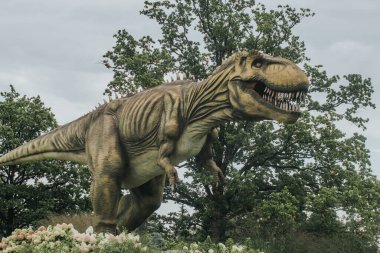 Keskin dişleri ve desenli derisi olan çok detaylı bir T-rex modeli bulutlu bir gökyüzü ve ağaç zeminine karşı gösterilir.. 