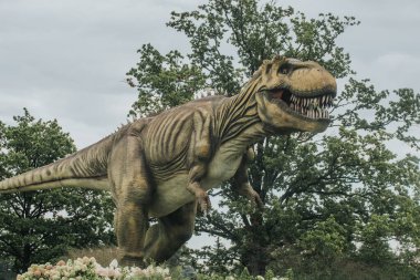 Keskin dişleri ve desenli derisi olan çok detaylı bir T-rex modeli bulutlu bir gökyüzü ve ağaç zeminine karşı gösterilir.. 