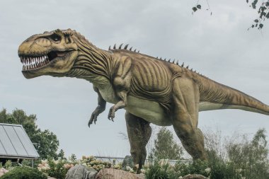 Keskin dişleri ve desenli derisi olan çok detaylı bir T-rex modeli bulutlu bir gökyüzü ve ağaç zeminine karşı gösterilir.. 