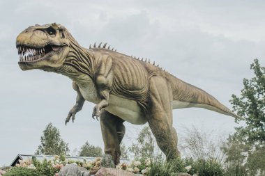 Keskin dişleri ve desenli derisi olan çok detaylı bir T-rex modeli bulutlu bir gökyüzü ve ağaç zeminine karşı gösterilir.. 
