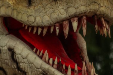 Bir dinozor modelinin açık ağzının detaylı yakın plan görüntüleri keskin, yıpranmış dişler ve canlı kırmızı bir iç mekan gösteriyor. Doku sürüngen derisini taklit ediyor ve tarih öncesi yoğunluğu çağrıştırıyor..