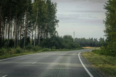 Sessiz, dolambaçlı bir asfalt yol bulutlu bir gökyüzünün altında uzun ağaçlar ve elektrik hatlarıyla dolu sık bir ormanın içinden geçiyor..