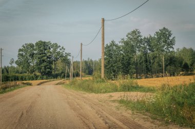 Kırsal bir toprak yol tarlaları ve uzun otları geçer ve tahta elektrik direkleri açık bir gökyüzünün altındaki mesafeye kadar uzanır..