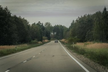 Bir araba, bulutlu bir gökyüzünün altında çimenli tarlalar ve sık ormanlarla çevrili sakin iki şeritli bir kır yolu boyunca ilerliyor.. 