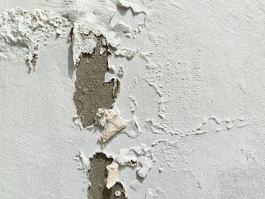 Beyaz duvarın yüzey dokusu nemden dolayı kötü soyulan boyayla zarar görmüş..