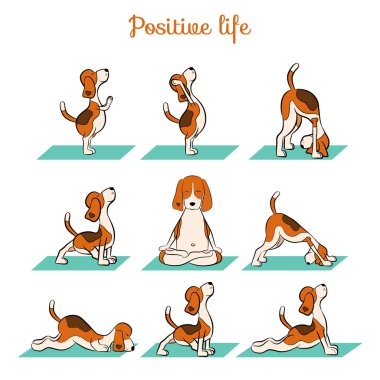 Karikatür komik köpek beagle Yoga pozisyon yapıyor. Surya Namaskara. San selamlama. Vektör çizim