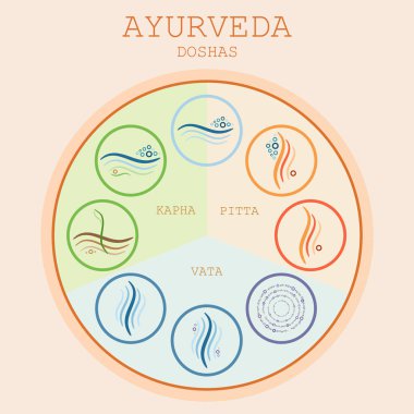 Ayurveda diyagramı vektör çizim. Doshas vata, pide, kapha. Ayurveda vücut tipleri. Ayurveda Infographic. Sağlıklı yaşam tarzı. 