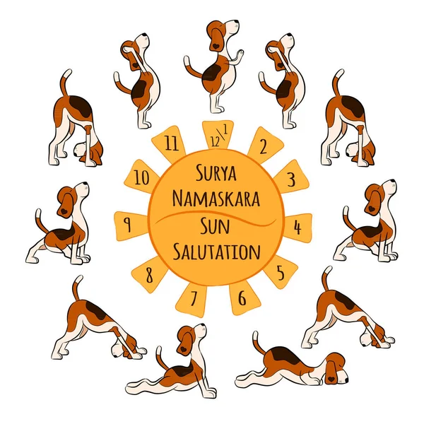 Isolierte Karikatur Lustiger Hund Der Yoga Position Von Surya Namaskara — Stockvektor
