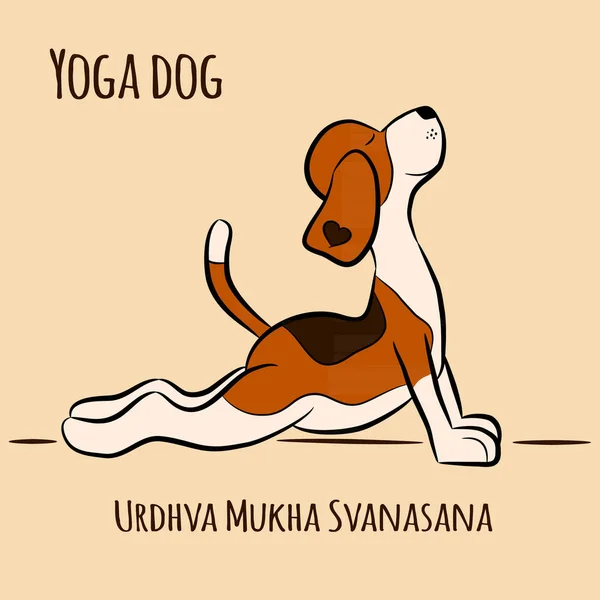 Tecknad Hund Visar Yogaställning Urdhva Mukha Svanasana Uppåt Inför Hund — Stock vektor