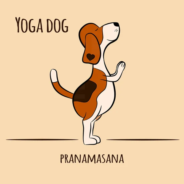 Cartoon Chien Montre Pose Yoga Pranamasana Surya Namaskara San Salutation — Image vectorielle