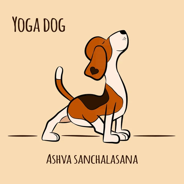 Perro Dibujos Animados Muestra Postura Yoga Ashva Sanchalasana Yin Pose — Vector de stock