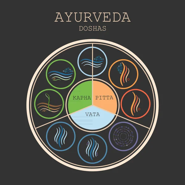 Ayurveda 다이어그램 일러스트입니다 Doshas Vata Pitta 핃입니다 아유르베다 종류입니다 아유르베다 — 스톡 벡터