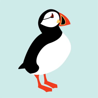 İzlanda Puffin kuş simgesi. Vektör çizim