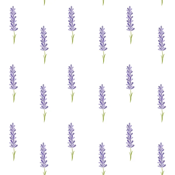 Nahtloses Muster Mit Lavendel Provence Vektorillustration — Stockvektor