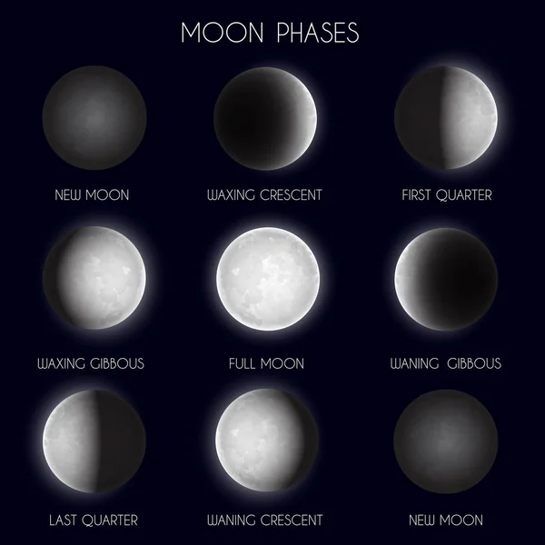 Fases Lunares Astronomía Espacial Nocturna Todo Ciclo Luna Nueva Luna — Vector de stock