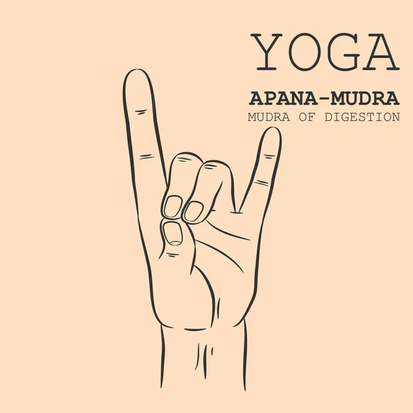 Mano en yoga mudra. ApanaMudra. Ilustración vectorial. 2023