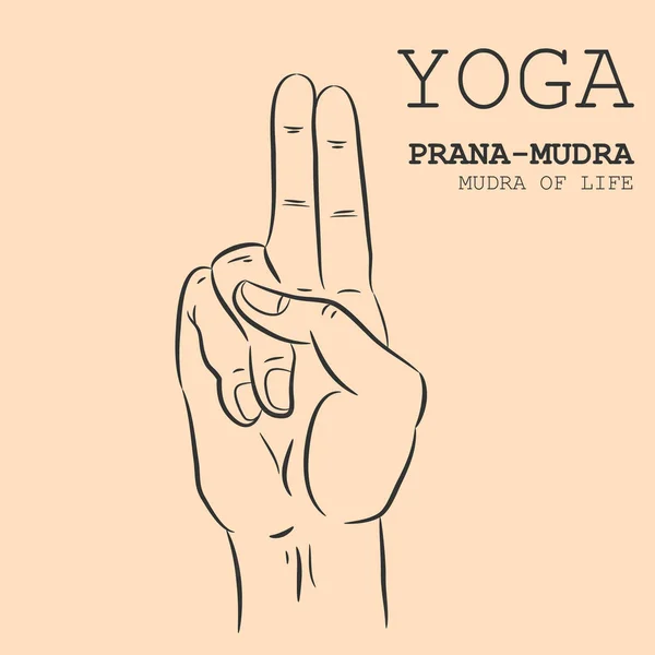 Mano Yoga Mudra Prana Mudra Ilustración Vectorial — Vector de stock