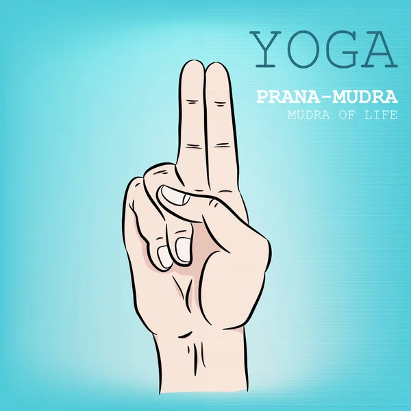 Mano Yoga Mudra Prana Mudra Ilustración Vectorial — Vector de stock