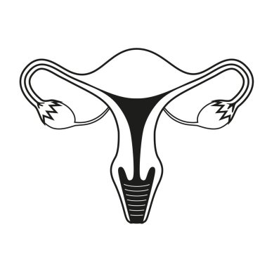 Siyah beyaz çizim. Dişi üreme sistemi. Rahim. Regl. Kadın hijyeni. Organlar hisse senedi vektör illüstrasyonu.