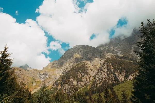 Doğa manzaralı huzurlu güneşli gün dağ manzarası.