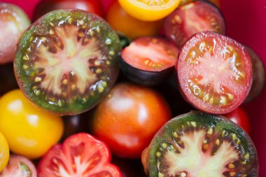 Çok renkli çiftçilerin domates yarıyarıya aşırı yakın kesilmiş. 