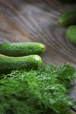 Dikey yeşil taze çiğ salatalık ve dereotu bitkisi.