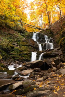 Karpat sonbahar ormanlarında şelale.